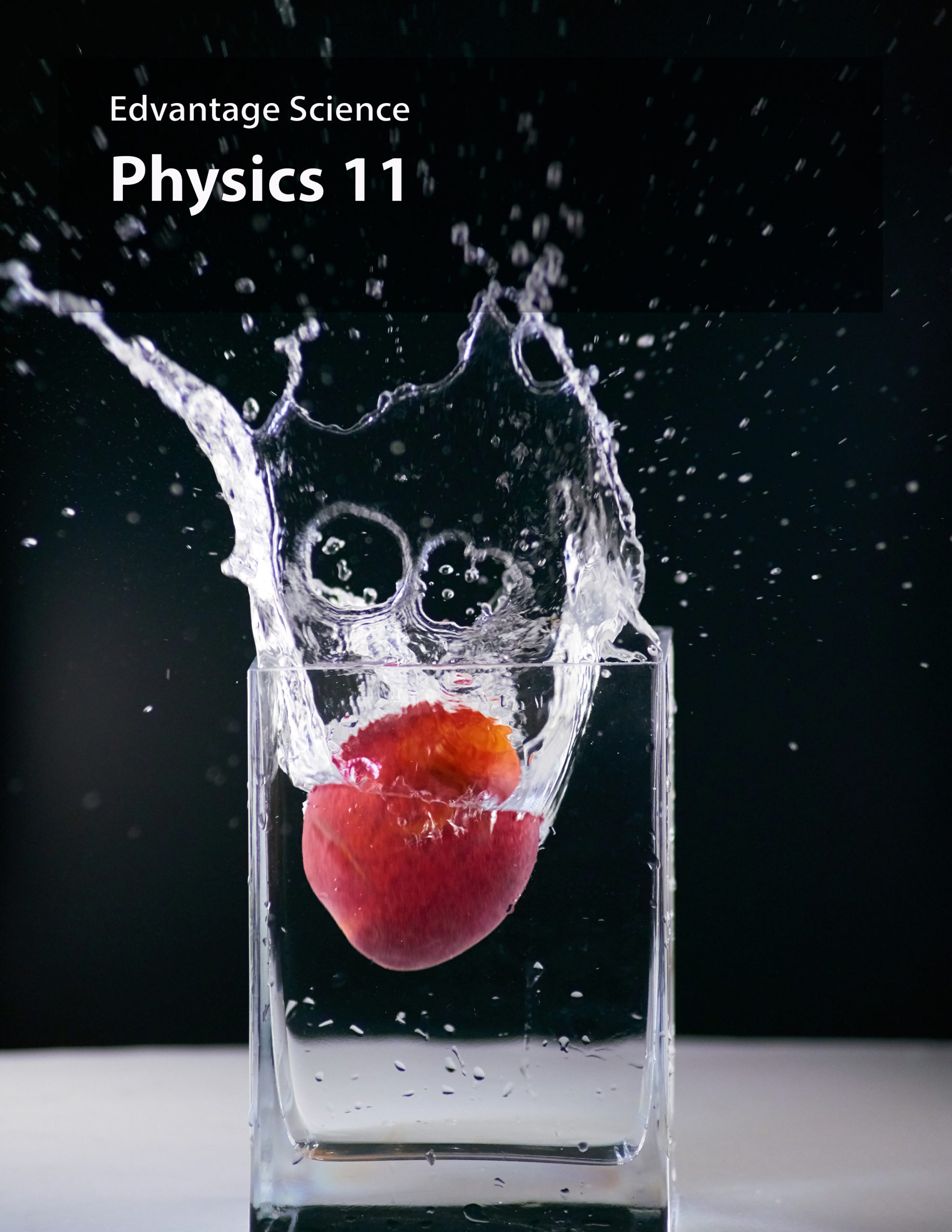 1 ES Physics 11 2021 Cover